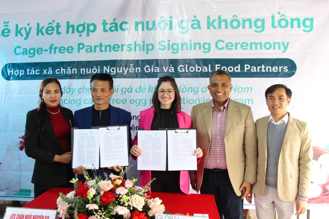 Chương trình Tín chỉ gà đẻ không nhốt lồng của công ty Global Food Partners (Singapore) thúc đẩy một trong những quá trình chuyển đổi lớn nhất sang sản xuất trứng không nhốt lồng tại Việt Nam