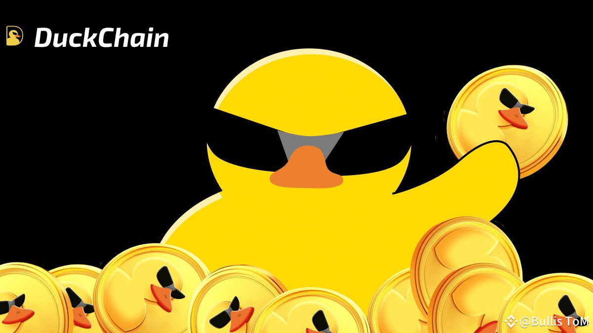 Get to Know About DuckChain: Roadmap 2025, Tokenomics, Event, Rewards,& Airdrop