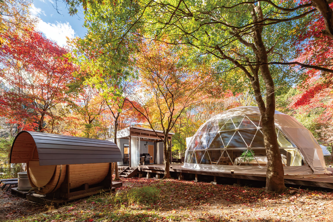 2026 Japan Autumn Travel Trends: From Chasing Autumn Foliage to Staying in Nature